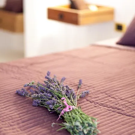 A Casa Di Gaia Bed And Breakfast-3